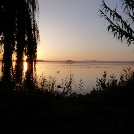 La Fenice Montefiascone Luaran gambar
