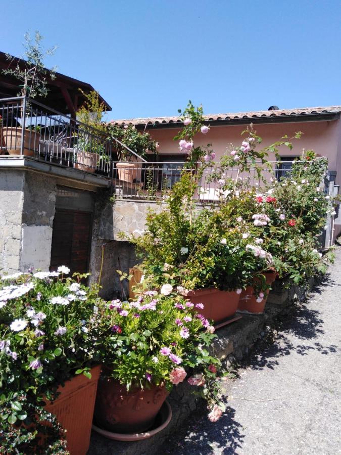 La Fenice Montefiascone Luaran gambar