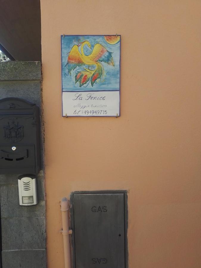 La Fenice Montefiascone Luaran gambar