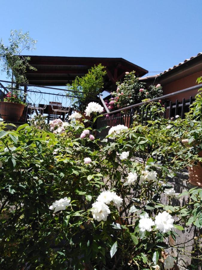 La Fenice Montefiascone Luaran gambar