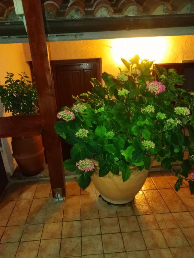 La Fenice Montefiascone Luaran gambar