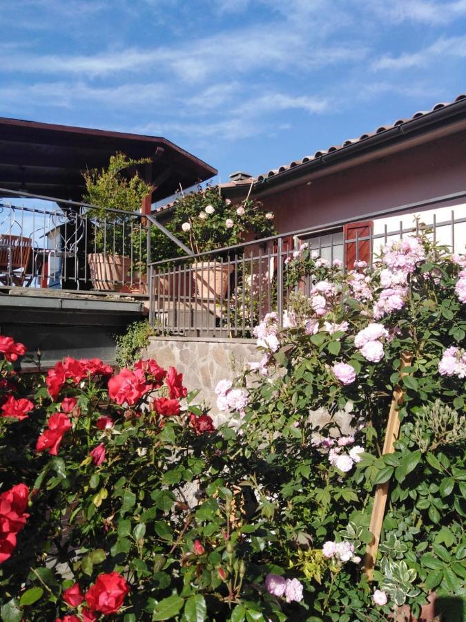 La Fenice Montefiascone Luaran gambar
