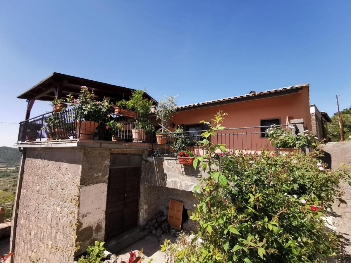 La Fenice Montefiascone Luaran gambar
