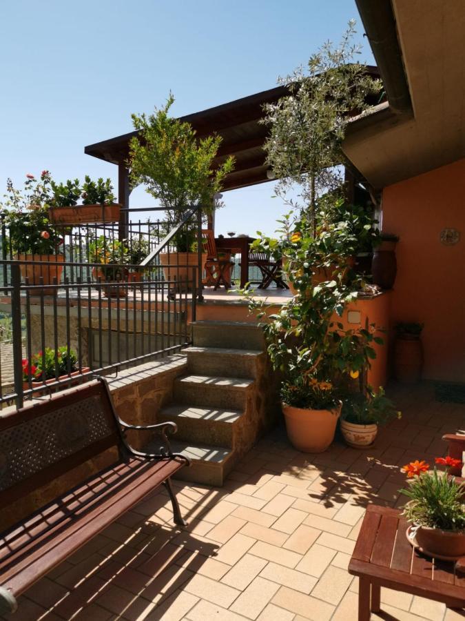 La Fenice Montefiascone Luaran gambar