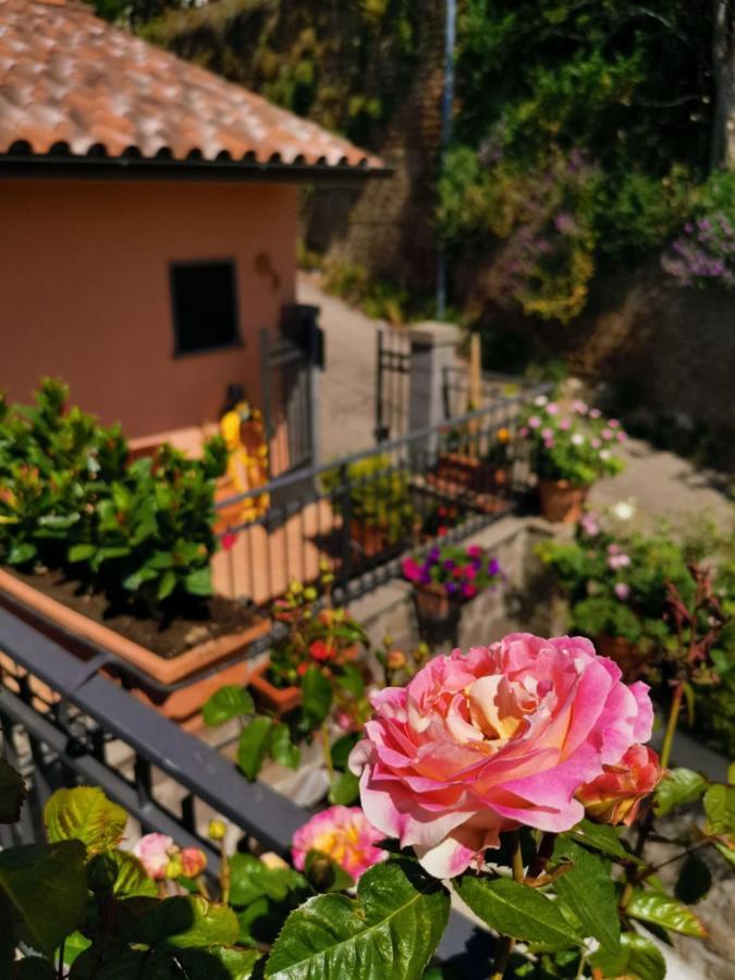 La Fenice Montefiascone Luaran gambar