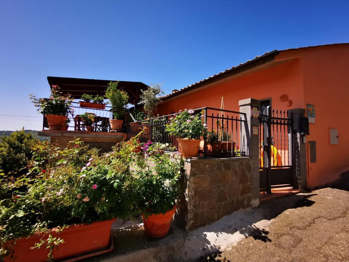 La Fenice Montefiascone Luaran gambar