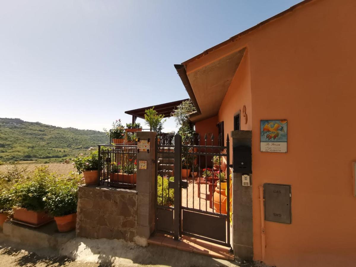 La Fenice Montefiascone Luaran gambar