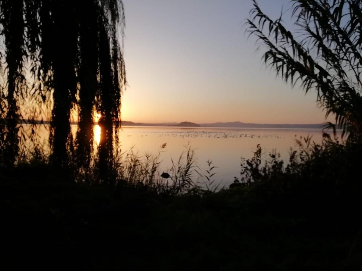 La Fenice Montefiascone Luaran gambar