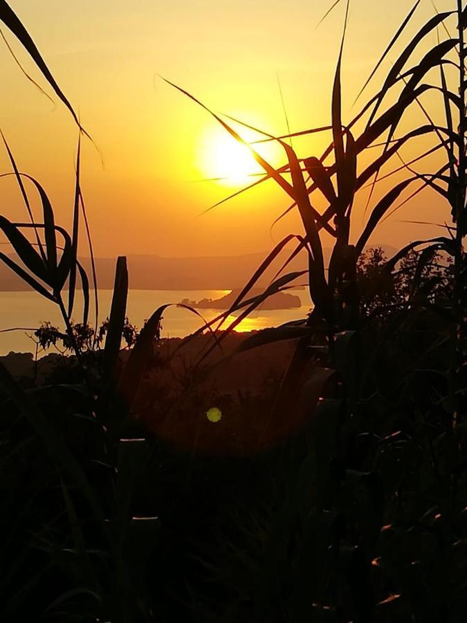 La Fenice Montefiascone Luaran gambar