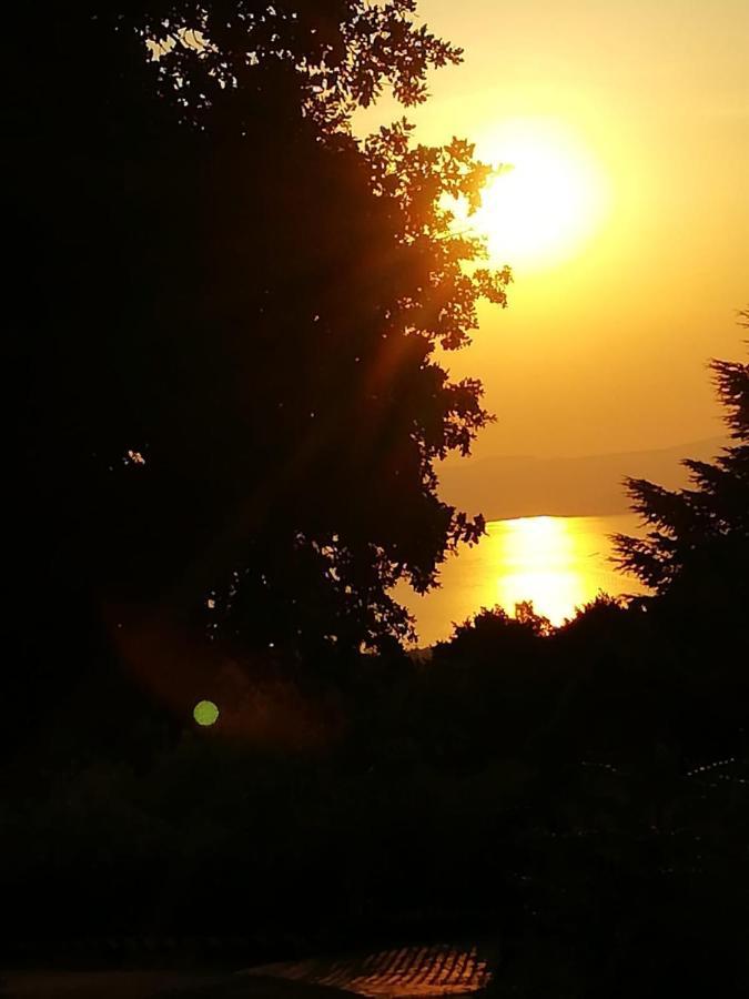 La Fenice Montefiascone Luaran gambar