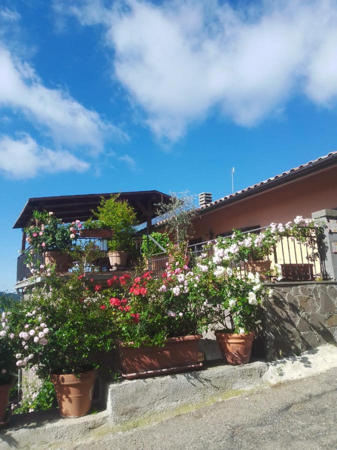 La Fenice Montefiascone Luaran gambar
