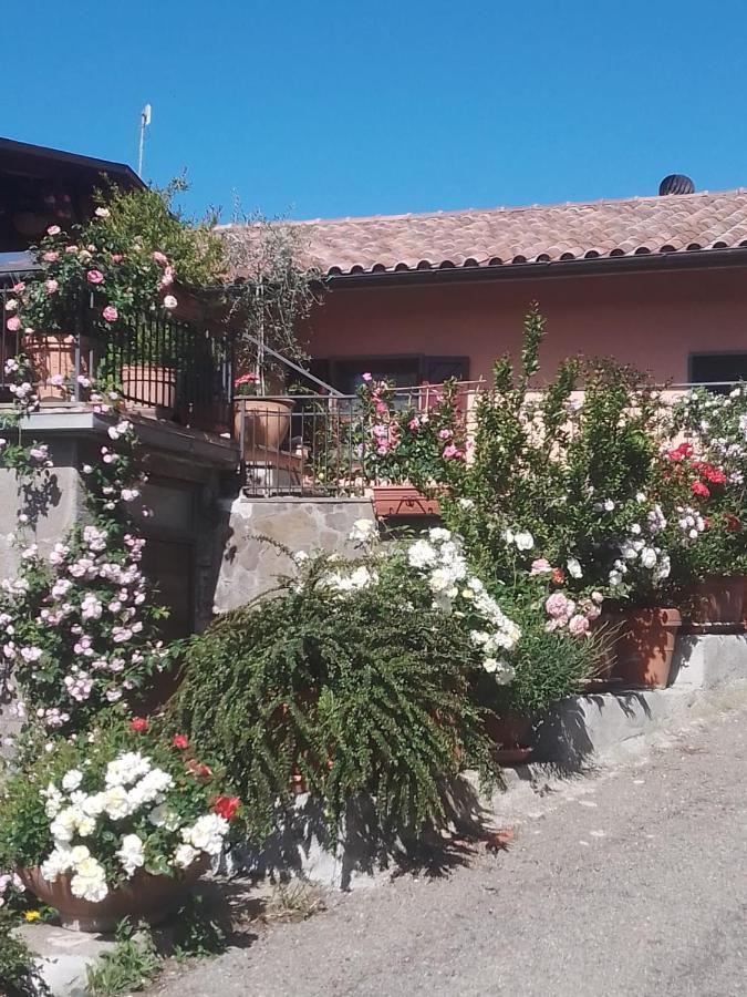 La Fenice Montefiascone Luaran gambar