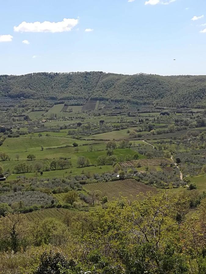 La Fenice Montefiascone Luaran gambar